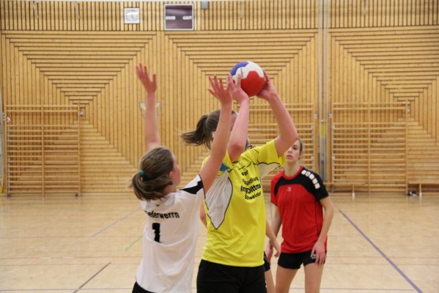 2016_01_16 Landesliga Jugend 15